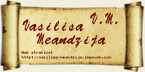 Vasilisa Meandžija vizit kartica